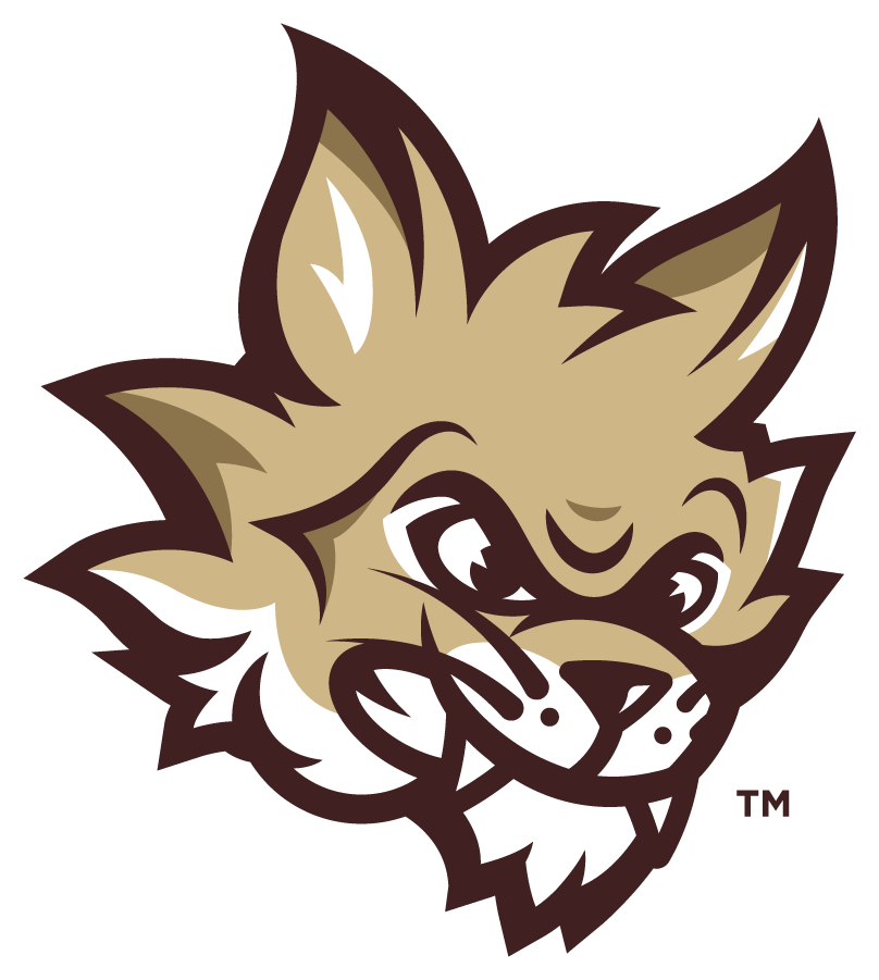 Texas State Bobcats 2021-Pres Mascot Logo DIY iron on transfer (heat transfer)